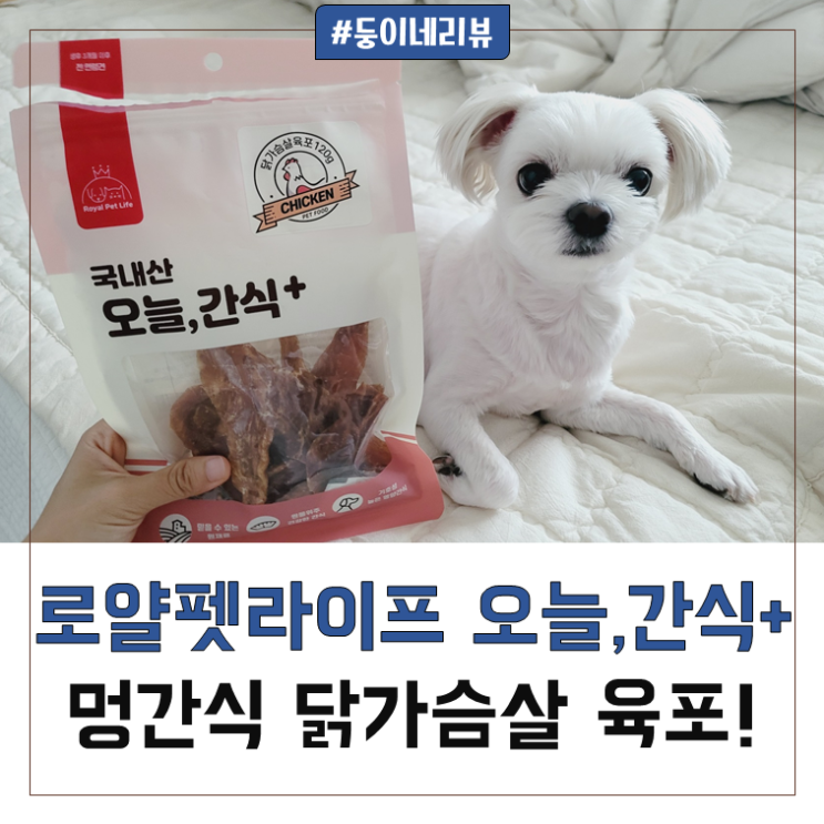 건강한 반려동물 간식 로얄펫라이프의 오늘, 간식+ 닭가슴살육포!