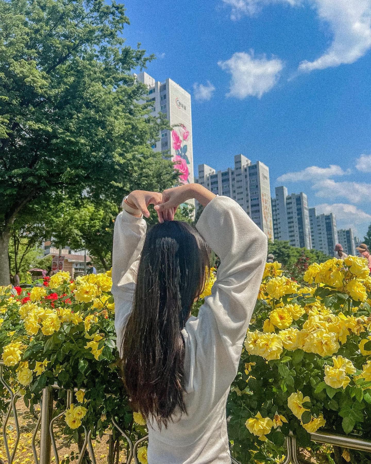 장미는 5월을 기억할 것입니다…