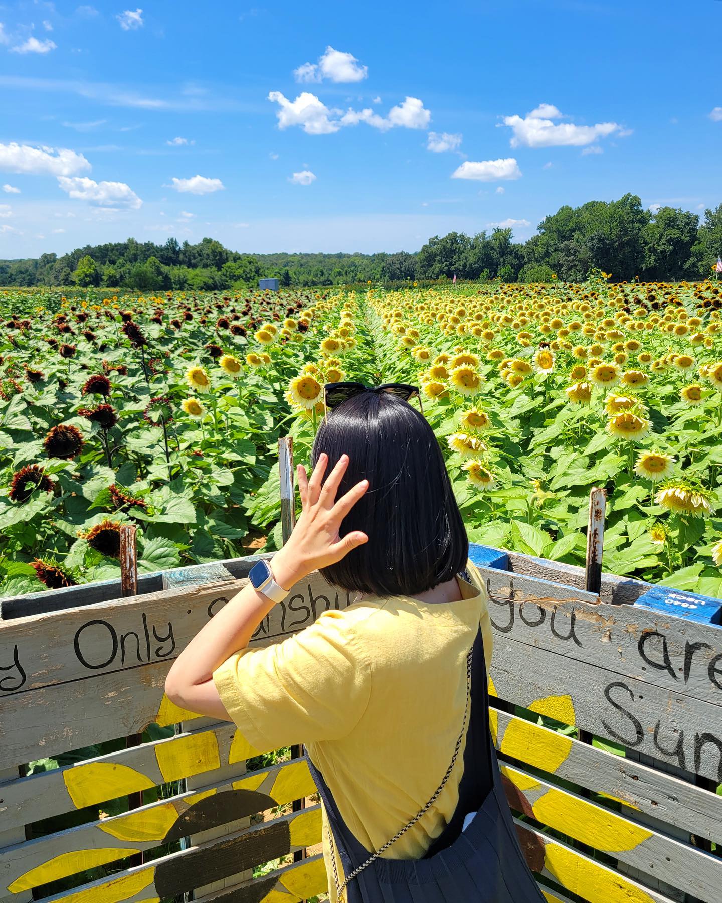 Summer days in 🇺🇸🌻

정말 잊을수 없을거야.. 찐 무더웠던 미국의 여름😅
그 뜨거운 햇빛을 뚫고 이쁜 사진을 건지겠노라고…
땀 한바가지 흘리고 고생한 남표니 고생한 쭈쭈니에게
스페셜 땡스투를 바칩니다..🫢❤️

#진짜개더웠던미국의여름 #Sunflower #chesterfieldberryfarm