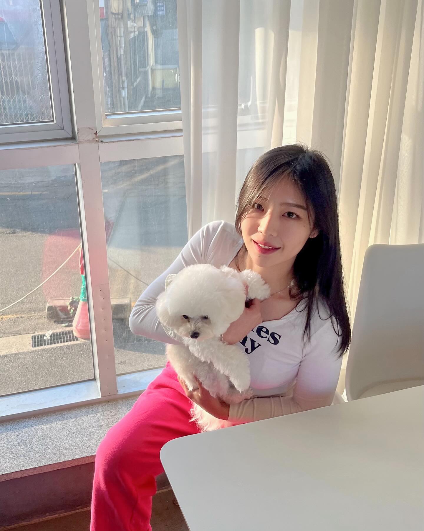 hello kirby🐶🐩