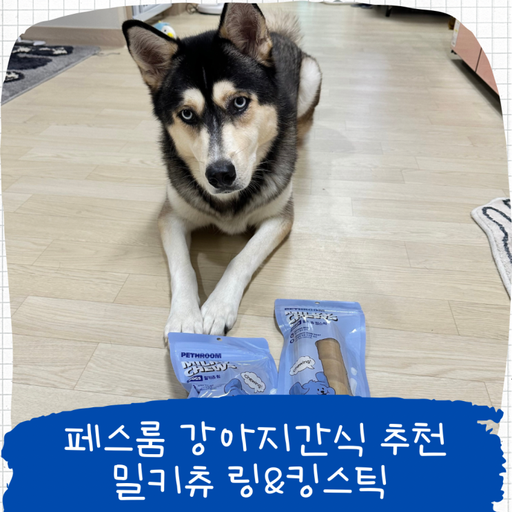 페스룸 강아지오래먹는 간식, 밀키츄 링&킹스틱 급여 후기