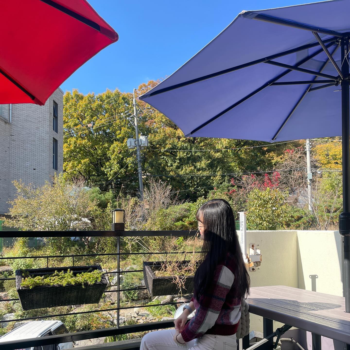빵이 조아🥐 나중에 강쥐랑 여기 가야겠다
애견 간식도 있다구🐶🐱