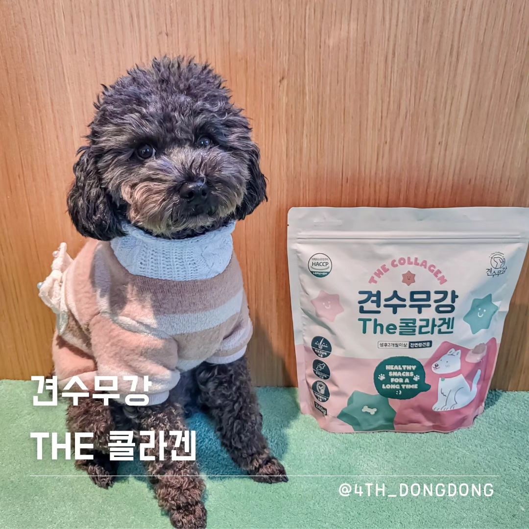 🎁업체로부터 제공받은 제품입니다🎁
gyeonsumugang #견수무강 #견수무강더콜라겐

동하~ 😊
오늘 리뷰할 제품은 [견수무강 The 콜라겐]이야~
울 엄마두 먹는 콜라겐, 나 이동동이도 먹는다~ 우하하하❤️

🔸️한 알에 영양이 듬뿍
저분자 콜라겐, 글루코사민, MSM, 보스웰리아, 콘드로이친, 밀크씨슬, 스피루니아, 오메가3가 골고루 든 종합비타민, 견수무강❤️
이외에도 장, 눈, 치아 건강과 면역력 강화에 도움 되는 기능이 쑥쑥!
(원료별 기능은 인터넷에 검색해보도록 🫡)

🔸️충치 예방 기능 함유
견수무강 제품이 쫀득쫀득해서 충치가 생길까봐 걱정된다구?!
그런 걱정은 하지 않아두 돼 🤭
견수무강에는 충치와 치석을 예방하는 헥사메타인산염이 들어 있거든!
오히려 말랑하고 쫀득해서 노견도 급여 가능하고,
부스러기도 떨어지지 않아서 좋다규 👍

🔸️기호성 좋은 영양 트릿
댕댕이들은 모서리가 뾰족하고 많을수록 맛있을거라고 생각한대 🤤
냄새도 향미제 없이 댕댕이들이 좋아하는 냄새를 구현해서..
나 이동동이는 시선을 떼지 못했지 😂
모양과 냄새까지도 신경 쓴 영양제라니 완벽하지 않뉘~❤️

🔸️믿음직한 제품
가수분해 제품이라 알러지는 줄이고,
유전자 조작 X, 글루텐 X, 그레인 X, 색소 X, 향미제 X 등
우리 멈머를 위해 나쁜 건 다 뺀 믿음직한 제품이라규 🥰

#아모스팜 #강아지영양제 #애견간식 #강아지간식 #애견영양제 #강아지가수분해간식 #강아지영양간식 #반려견간식 #반려견영양제 #강아지영양제추천 #강아지간식추천 #가수분해간식 #강아지콜라겐 #강아지종합영양제 #반려견간식추천