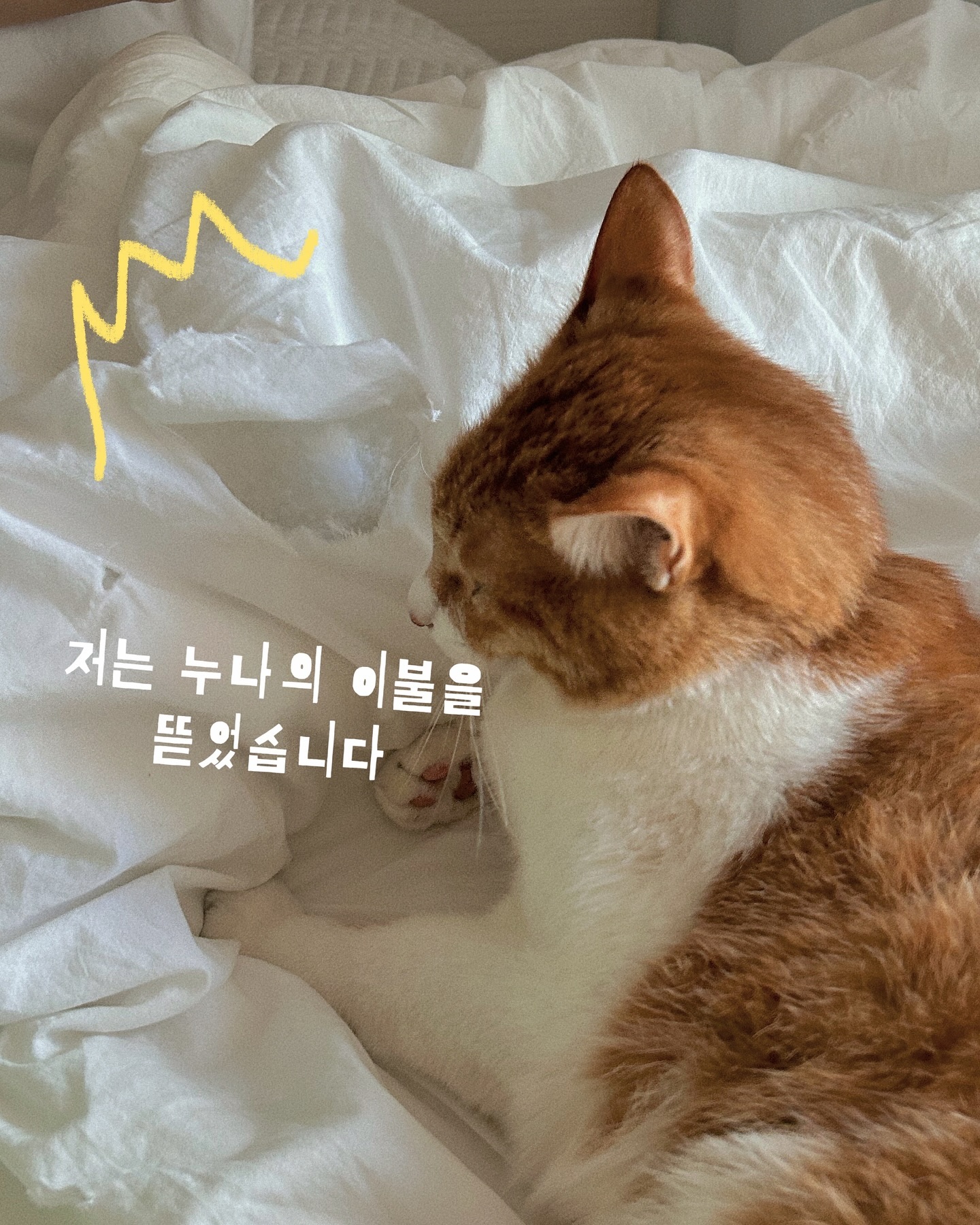 #예술 

이불 한 5군데에 예술 해놓으심