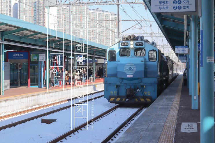 남도해양관광열차 S-train 솔직한 탑승기