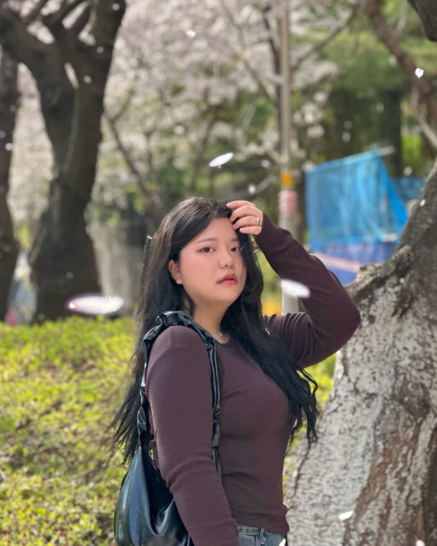 한여름에 올리는 벚꽃사진🌸