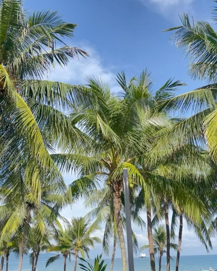twins 자매여행 in Danang.3 페러세일링🏄🏻‍♀️🪁
하늘만 나는 줄 알았더니 물에서 고기처럼 끝려다녔다-