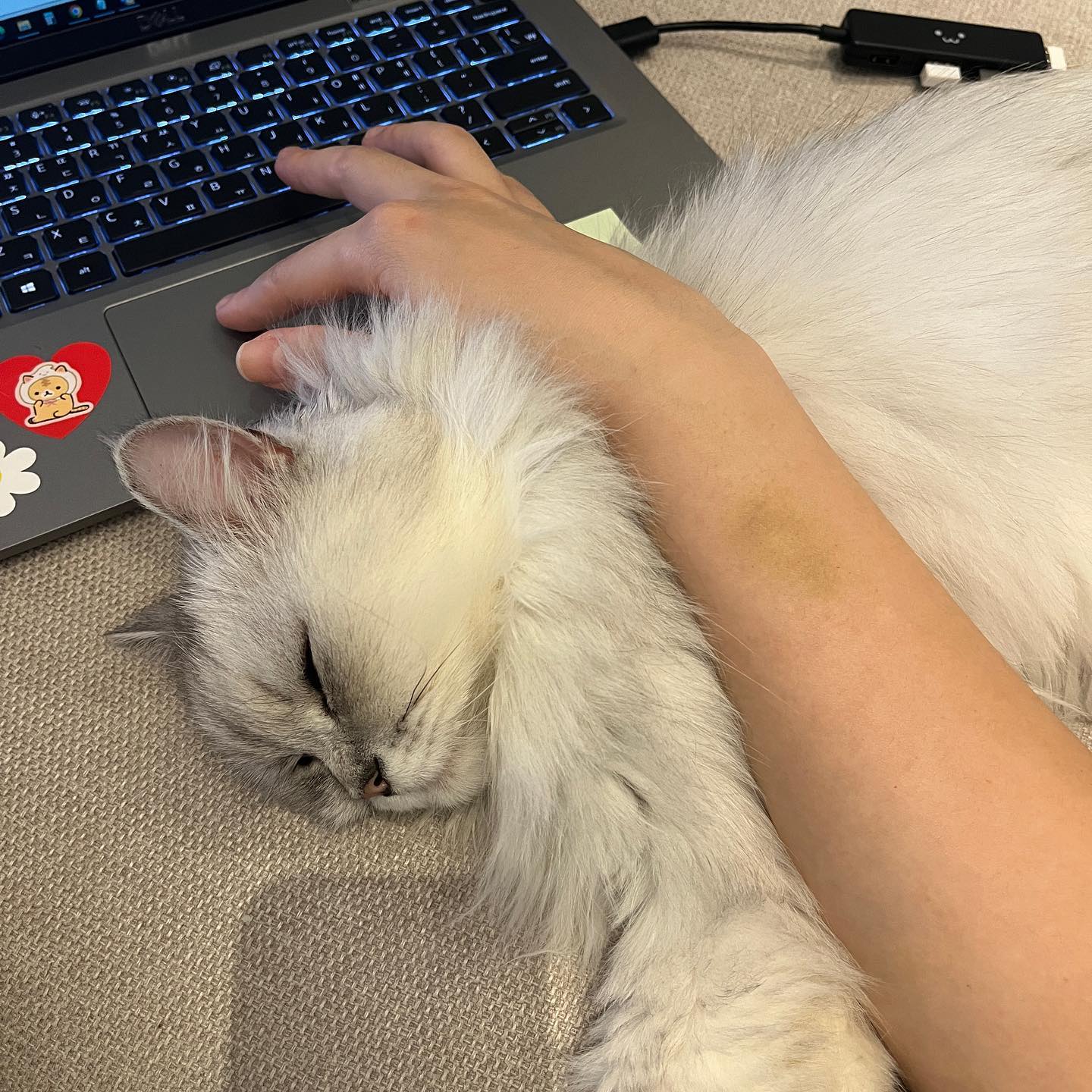 손목받침대 장만했어요 💟💟