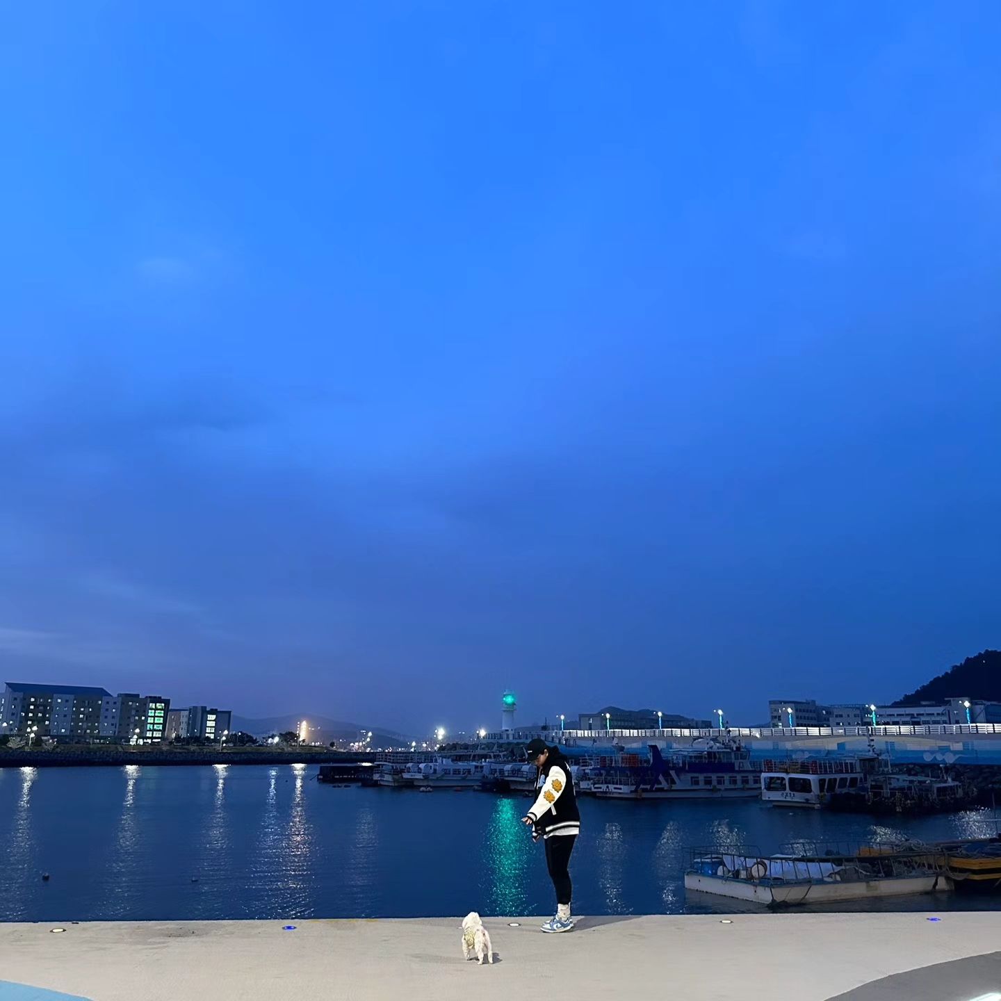 맹이랑 바다🌊

#부산 #영도 #이꼬맹스타그램