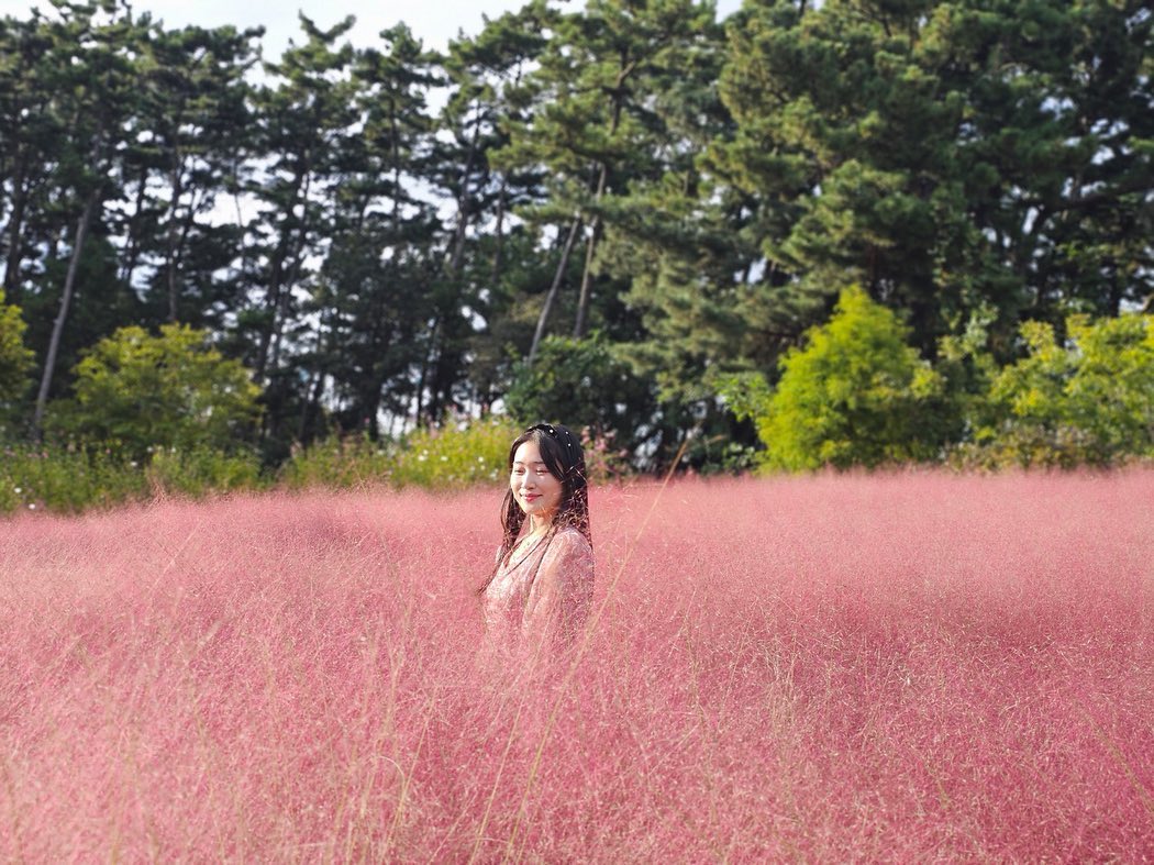 🌸핑뮬에 파묻히다🌸

어쩜 색이 똑같은지
깔맞춤한 줄 알았자나🤣

📍천리포수목원

#핑크뮬리 #천리포수목원 #가을여행
#태안여행 #태안가볼만한곳 #가을꽃