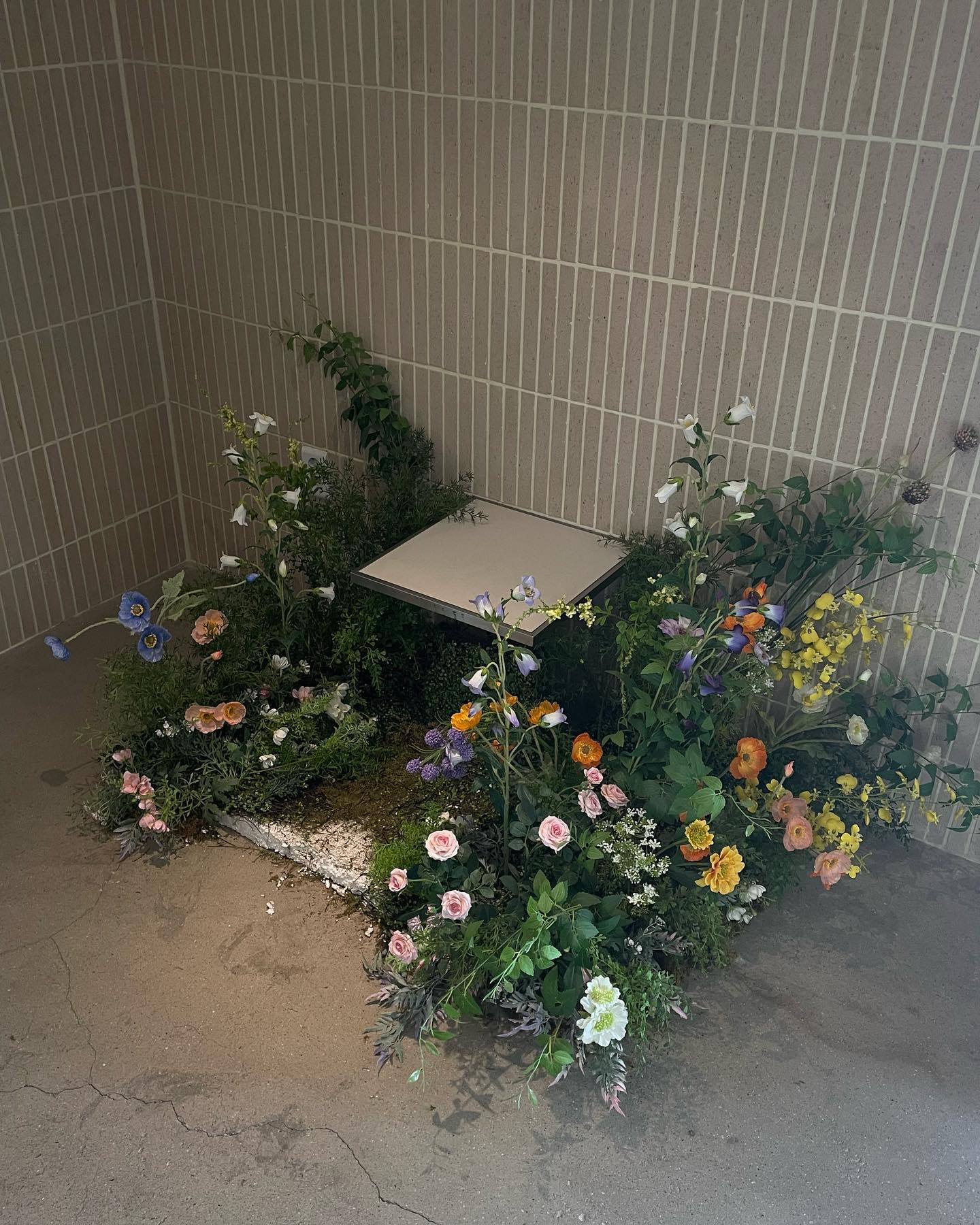인테리어 맘에 들었던 곳 ✊🏻 여기 딸기케이크 맛집이에요 ! 안 예쁘게 찍어서 사진 못 올리는 게 아쉬워..😖