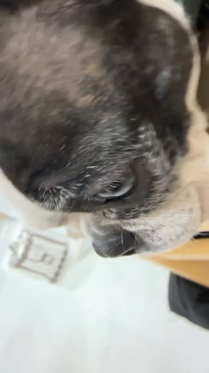 콘텐츠