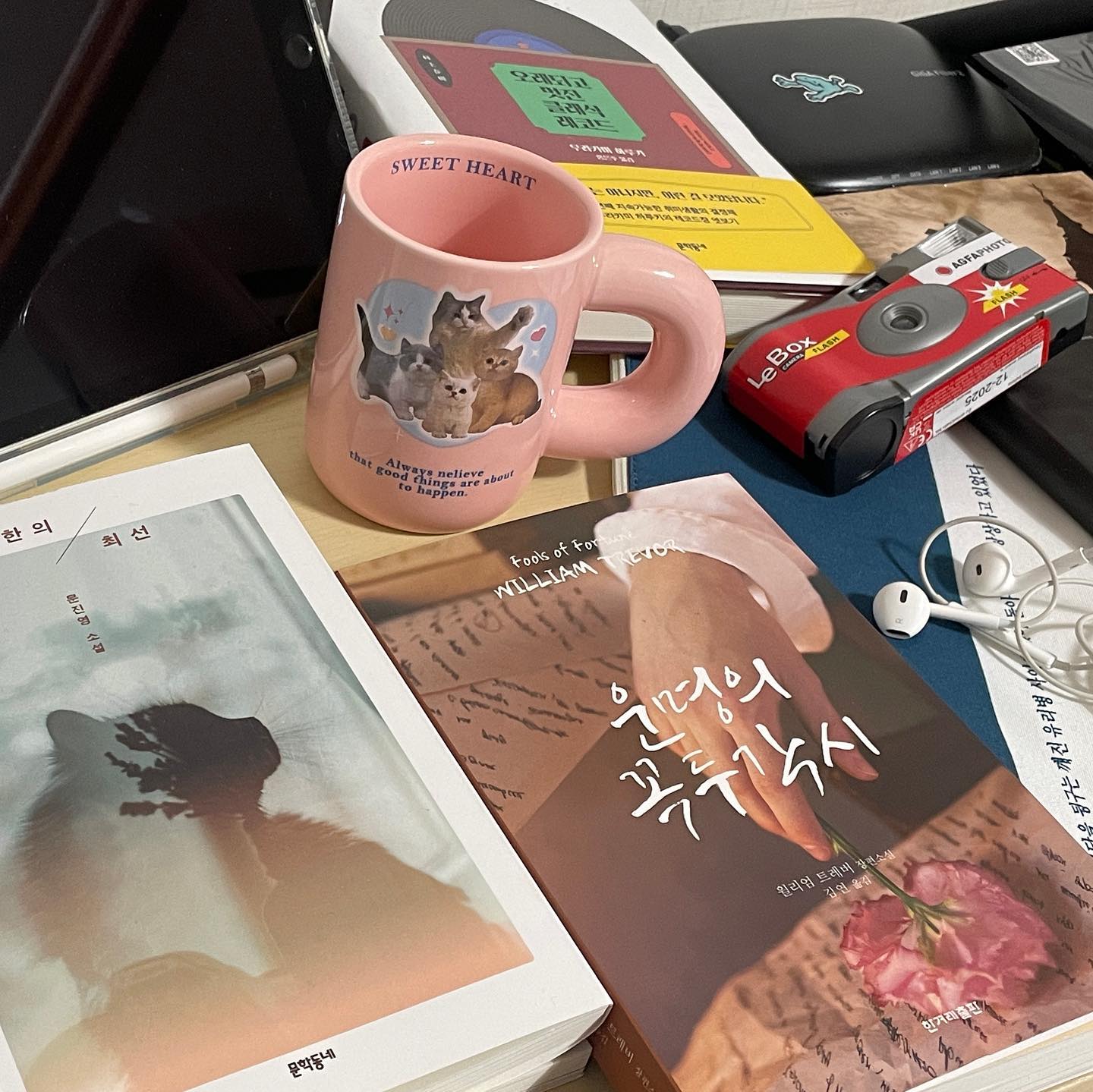 청교도적인 배경 때문인지 아일랜드 독립전쟁이라는 비극적 서사가 깔려 있음에도 제인 오스틴의 『오만과 편견』(1813, 영국)이나 루이자 메이 올컷의 『작은 아씨들』(1868, 미국 남북전쟁)스러운 감각이 떠올랐다. 잠잠하고 담담하며, 그 속에 격정의 사랑이 있다.

#한겨레출판 #한겨레 #운명의꼭두각시 #윌리엄트레버 
#독파앰버서더 #독서 #독후감 #서평 #책스타그램 #북스타그램 #독후귤