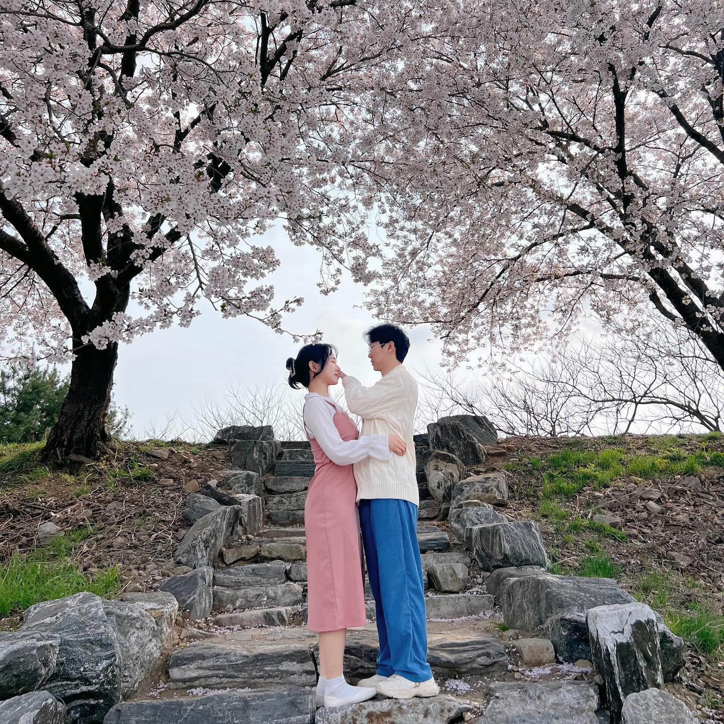 🌸 2024.04.10 🌸

10년이나 만났는데도 여전히 사랑스럽게 봐주는 혀누🩷

요즘은 야간 끝나고 오프에도 채연이 하고싶은거 다 하자면서
4-5시간 자고 놀러 같이 나와주고 너무 고마운 내 남자친구 ㅎㅎ
-
#벚꽃 #벚꽃명소 #해미천 #서산벚꽃 #cherryblossom
