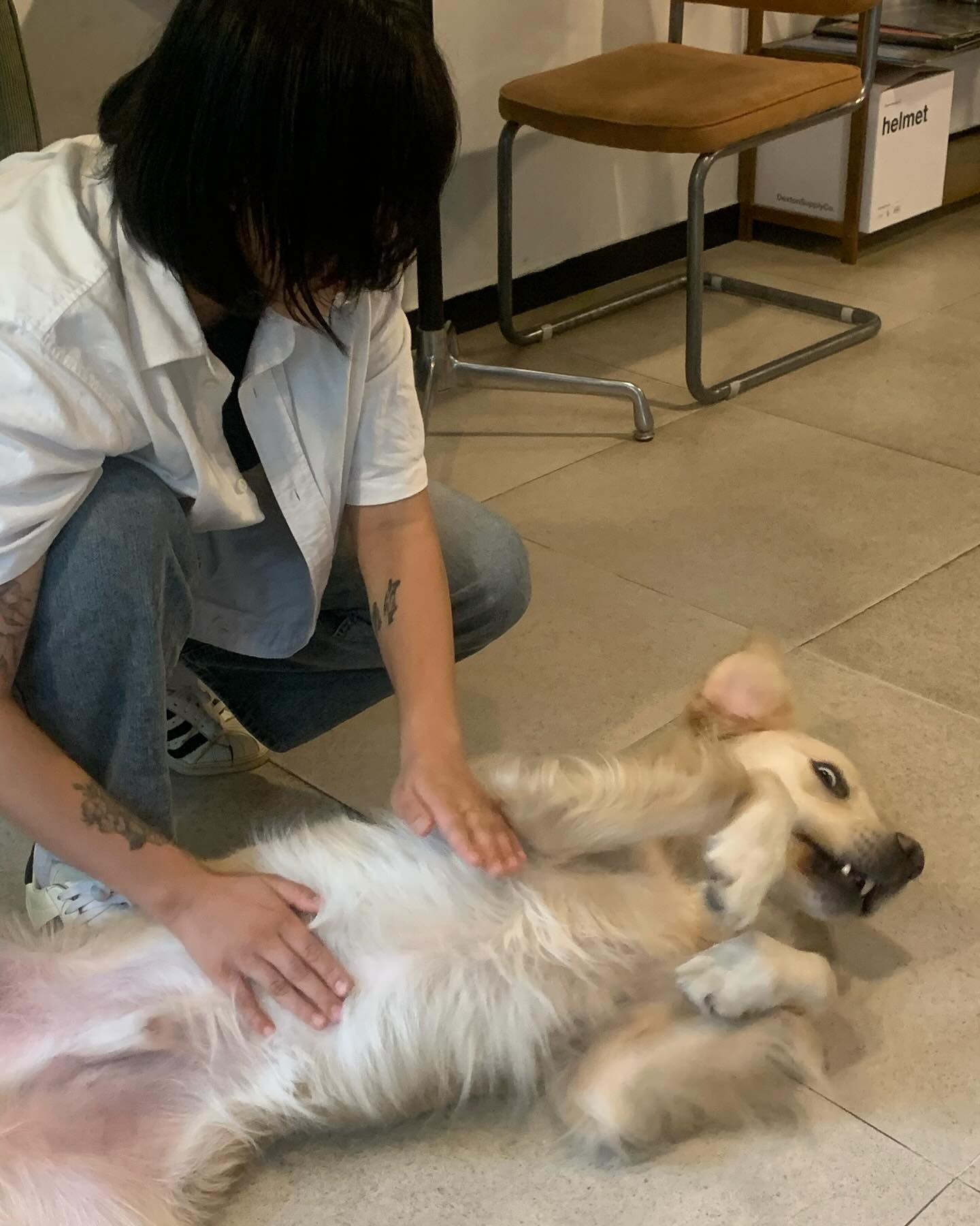 난 골든리트리버가 좋앙~ 🐕