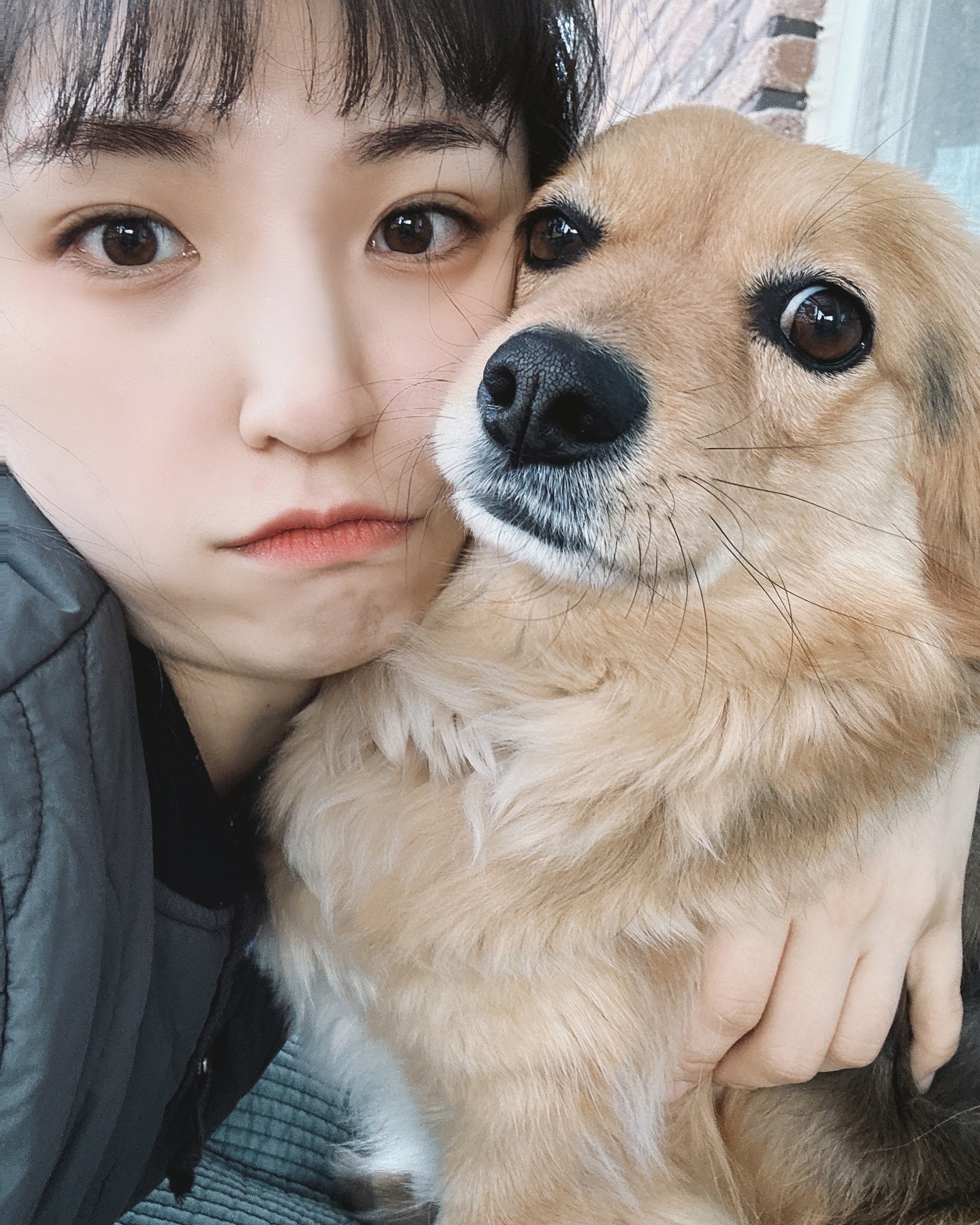 콘텐츠