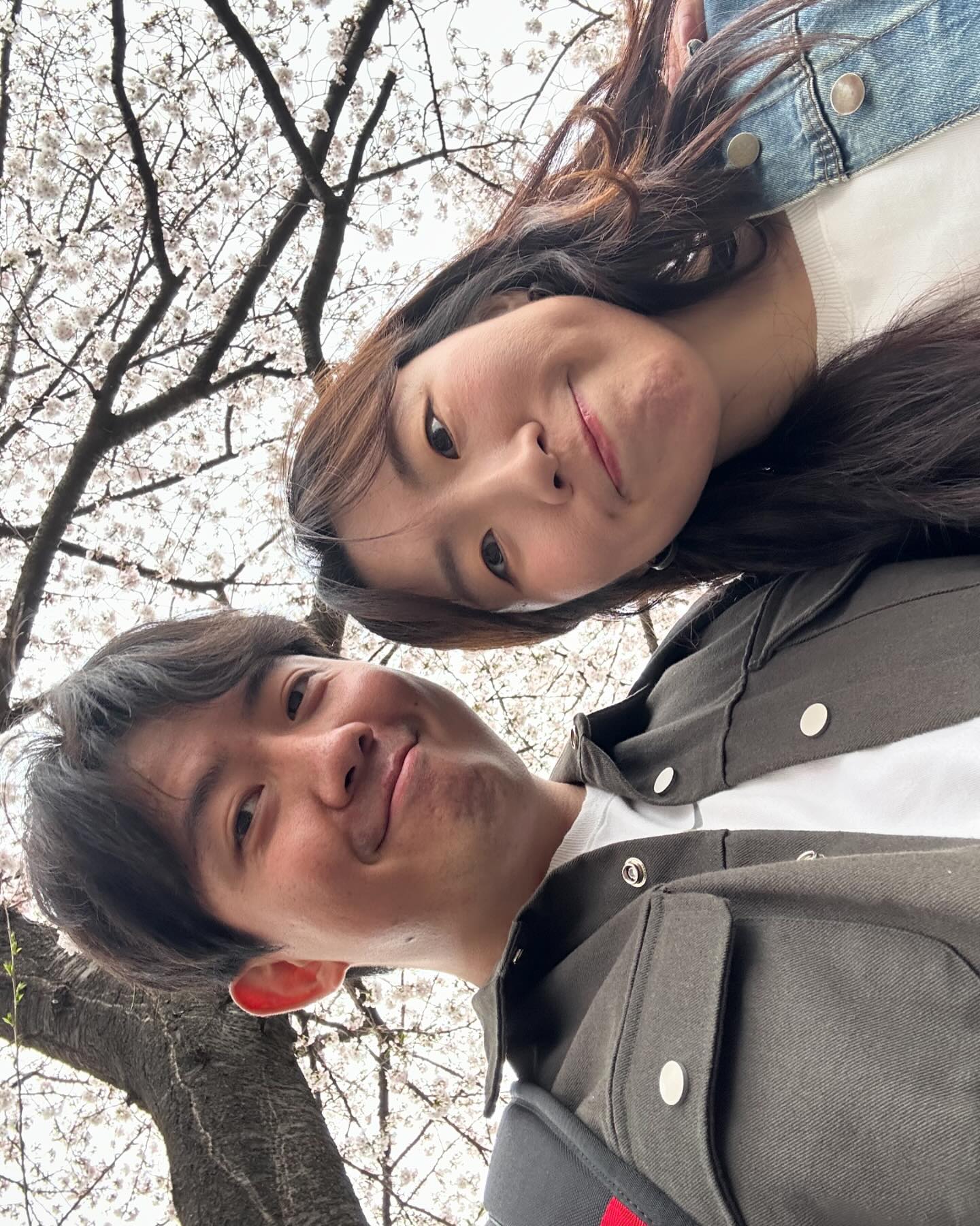 한국에서 처음 벚꽃보는 찐찌니🌸