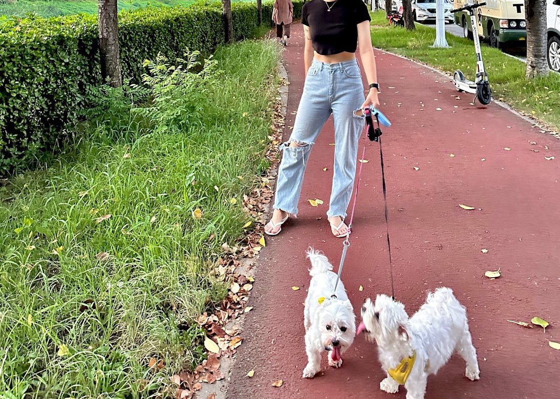 집 밖에 나오는 유일한 시간, 하리땡 산책🍃

+우리 하리, 땡이 행복한 일상🐶