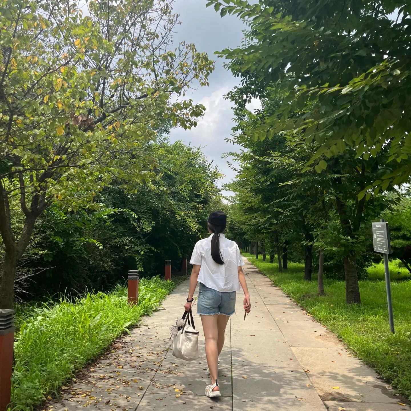 🌿 ☁️ ( ´∀`)