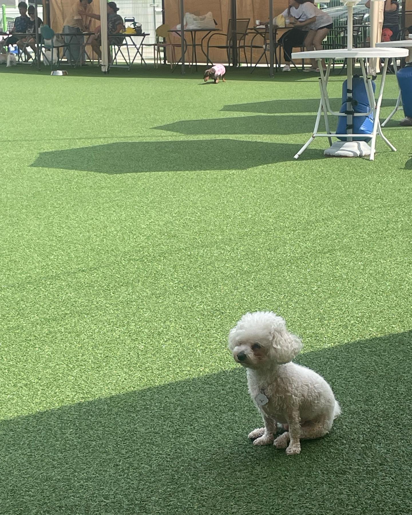 김진주 더워서 흘러내리는 중
