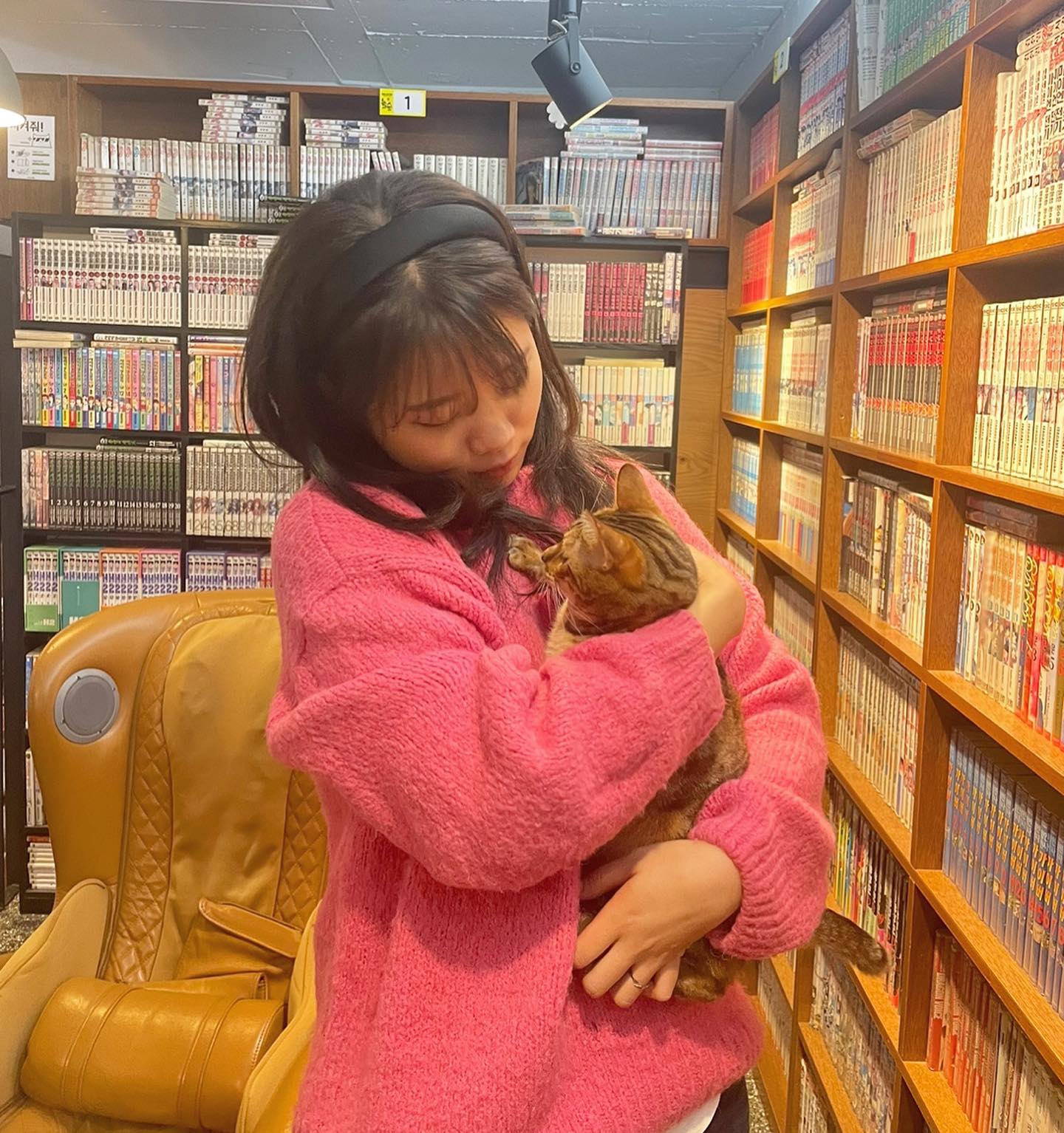 내가 너보다 훨씬 큰 고양이를 알아.
cat_gyulkim 눈감아 귤아..