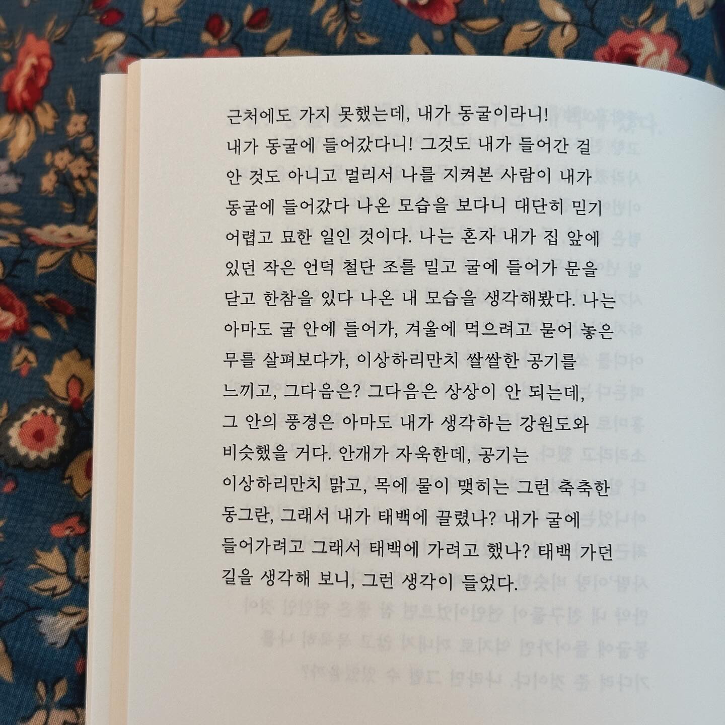 태백이란 동굴에 들어갔다 온 제가,
겨울잠에서 깬 적절한 시기 1년 전 작성한 서툰 책을 받아 보았습니다.
글쓰던 장면이 새록새록 하고, 같이 머물던 사람들이 그리워지기도 했습니다. 책을  다시 보니 태백에 가고 싶어집니다. 동굴은  쌀쌀하다고만 알았는데, 이제는 시원하다 느껴지네요. 시원한 고향이 하나 생긴 기분입니다.
같이 살던 국선, 라빈, 수연이가 보고싶습니다. 광광스토리지 분들도 얼굴이 아른거립니다. 광광스토리지와 함께 숙원사업 하나를 해결했습니다. ’아빠는 나에게 나지막이 빛이 되고 싶다‘ 작성한 글 중 몇가지를 골라 공유해 봅니다.
#태백 #아빠에게