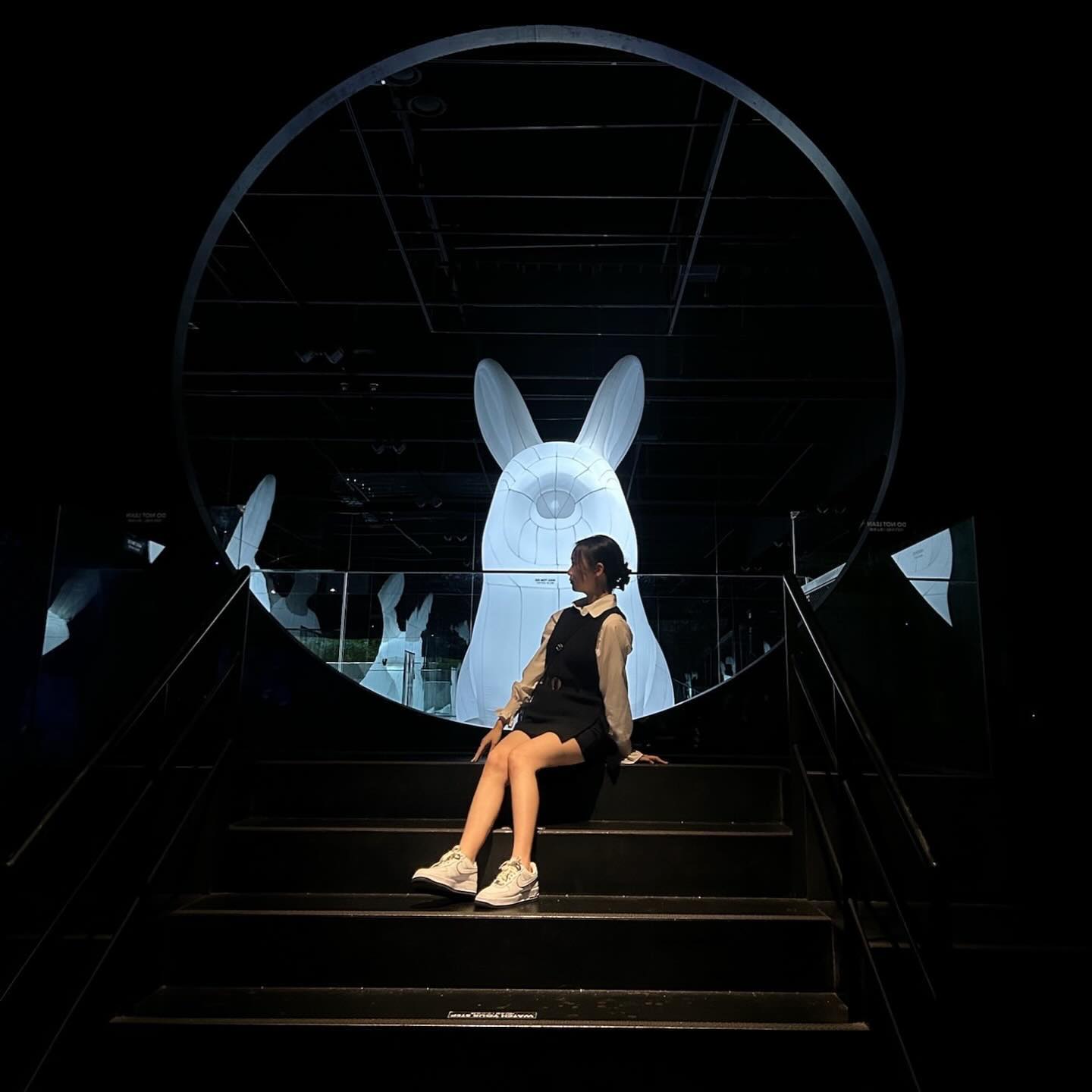🐰