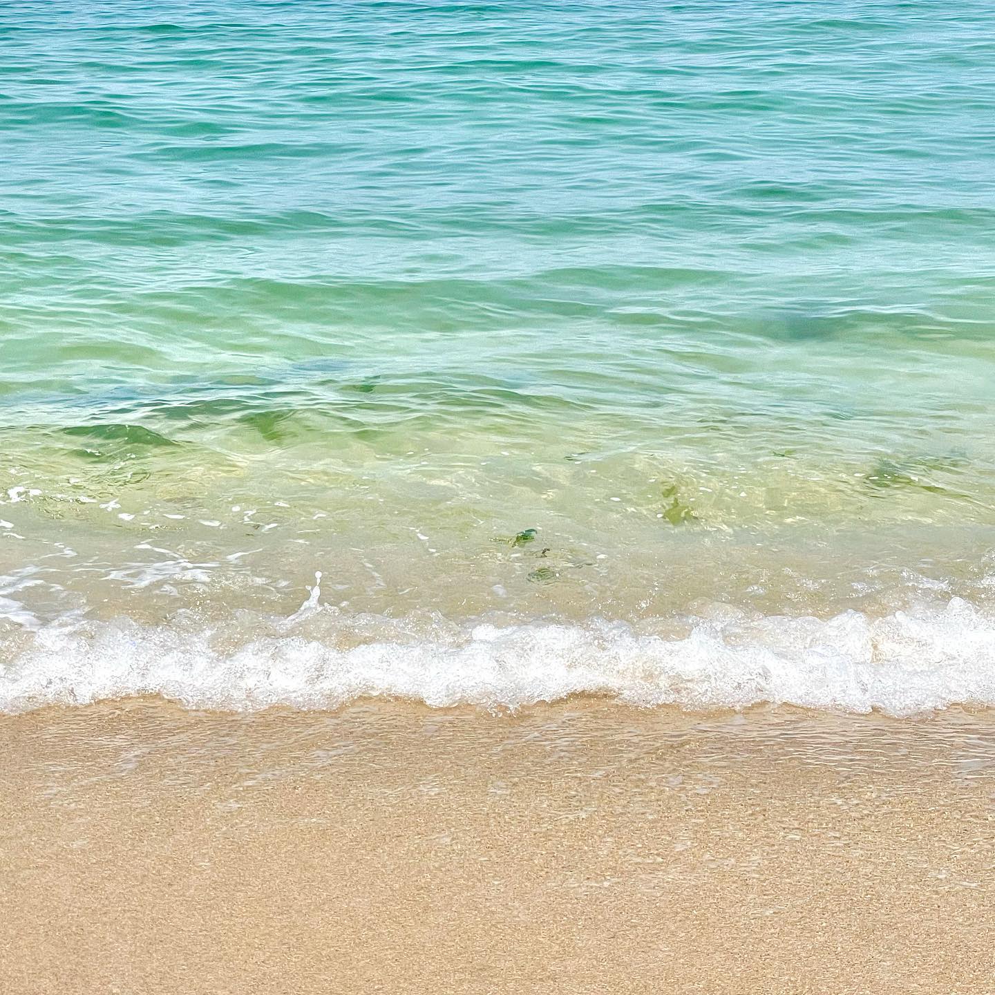 🌊🌊
5월에 갔던 바다 넘 예뻐ㅛ는데,,
놀러가고싶다ㅏㅏㅏㅏ

⠀