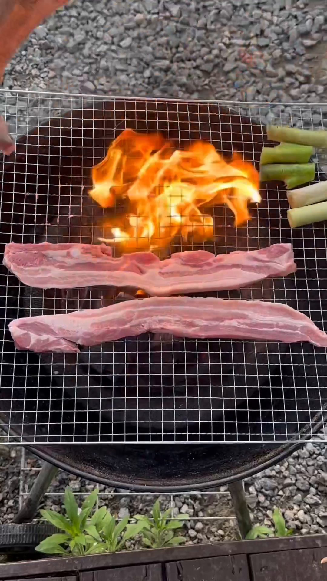 콘텐츠