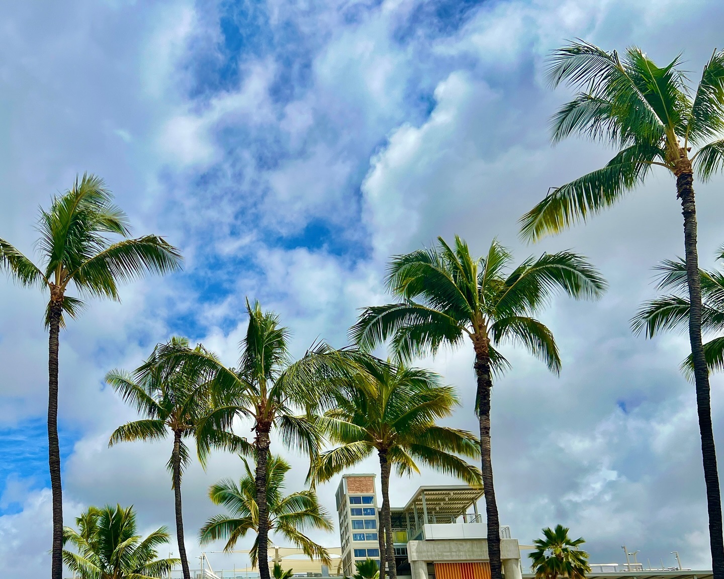 April
#hawaii #usa #travel