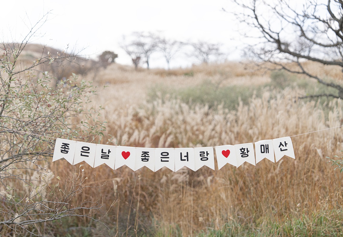 231028 sat. 황매산

1년만에 다시찾은 황매산은
작년보다 조금 덜 예뻣지만
체온관리를 잘 못한 나는
다녀와서 심한 몸살이 났지만
충분히 너무 좋았다.
나 때문에 고생한 메이트들 곰처럼 느린 나를 기다려주고 함께 해줘서 감사합니다♥

#황매산 #황매산억새 #등린이