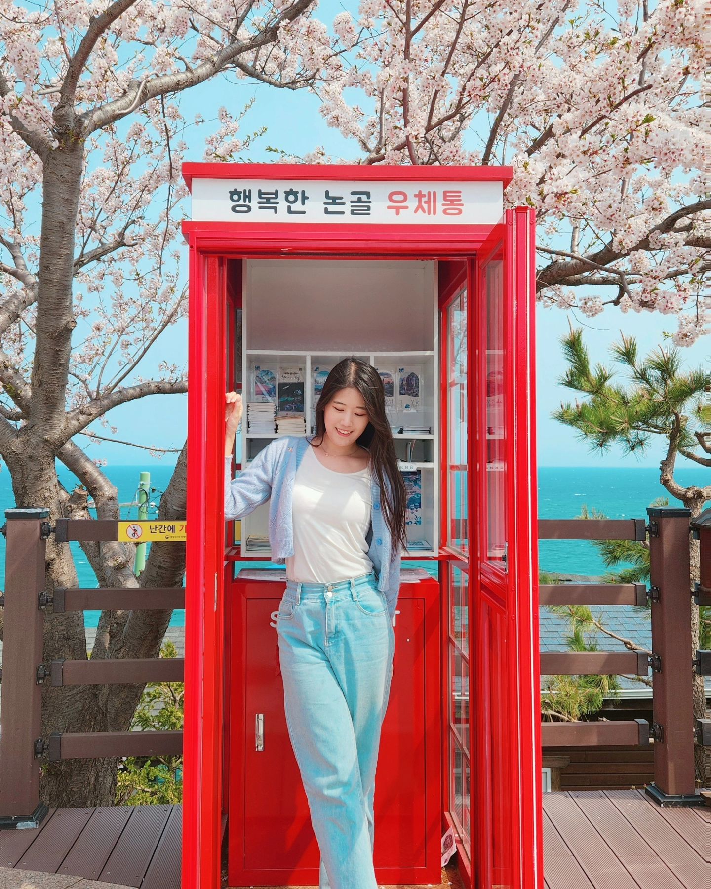 벚꽃에 진심3