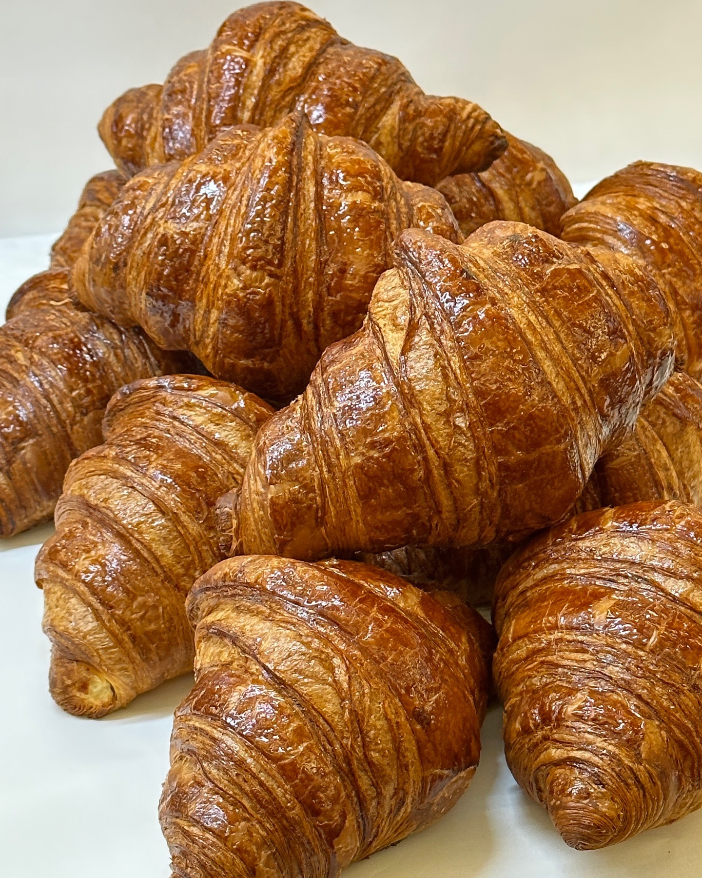 크루와아아상🥐

나의휴무는 언제온담,,😮‍💨