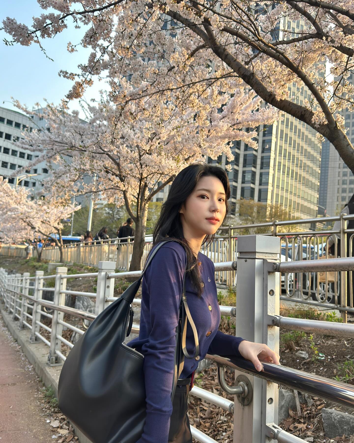 벚꽃 보러 여의도 갔다가 대전 갔다가 이리저리ㅛ사방팔방~~🌸🌸