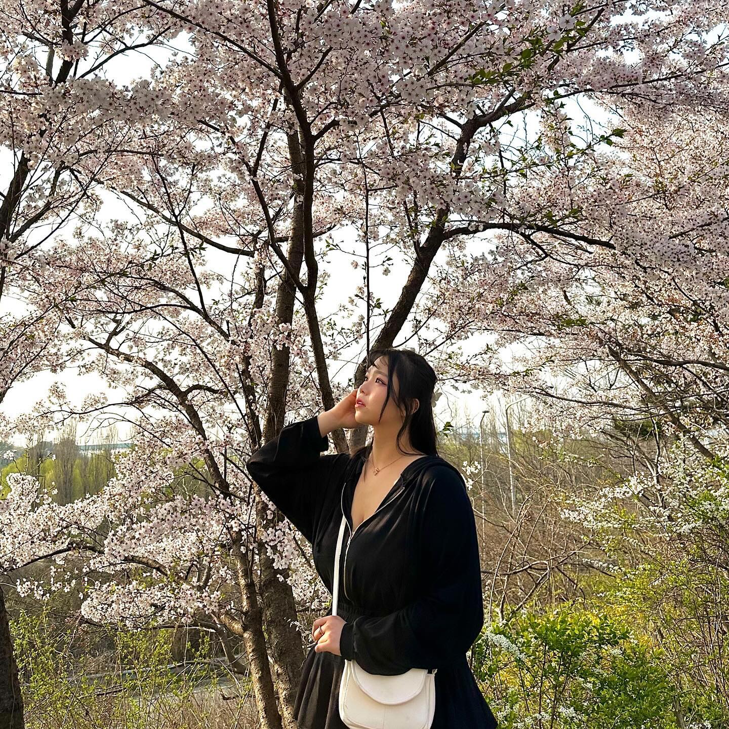 🌸