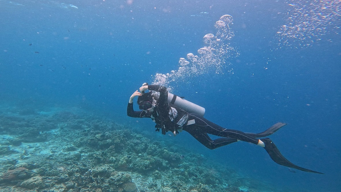 ENEE THE DIVER 🤿