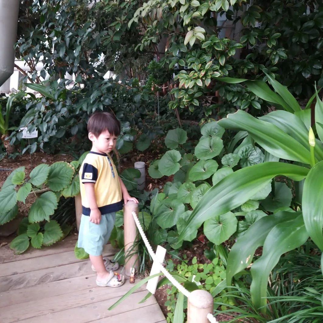 ❤️모찌두찌
.
.
.
2학년 형아는 너무 살이 쪄서 걱정..
4살 동생은 말라서 걱정..
중간은 없는 걸까요???😭
간만에 회사에서 한가헤서
소식 올려보아요~
모두 더위 조심하시고 
행복한 여름 보내세용🥰
.
.
.
#아들둘밤 #형제맘 #인천맘
한때는 둘 다 #아기모델 #베이비모델 
#키즈모델  #맘스타그램 #귀요미들