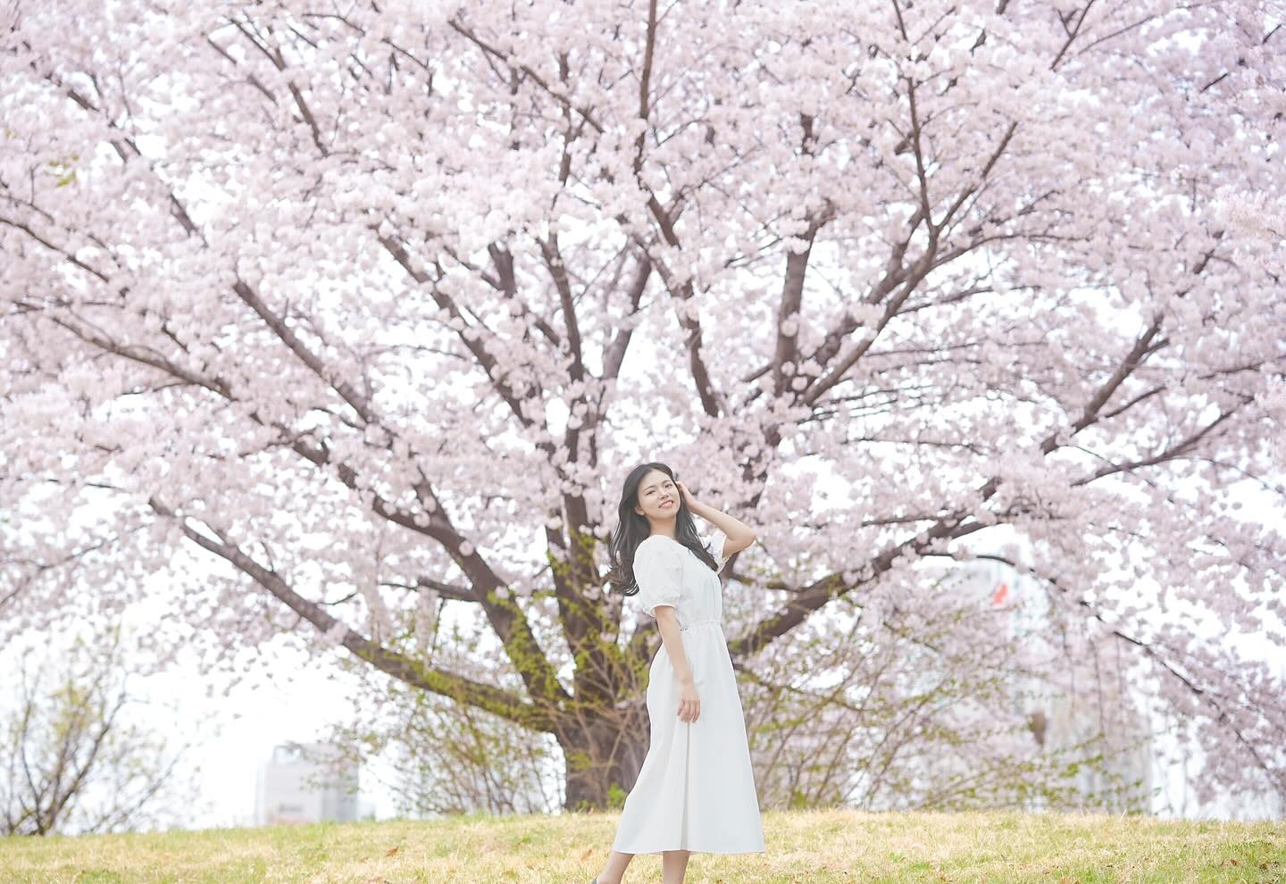 🌸

분홍빛 가득한 봄
-
드디어 봄이 왔고
드디어 벚꽃이 만개한 날이었어요😊
날씨까지 완벽하게 좋았답니다~~