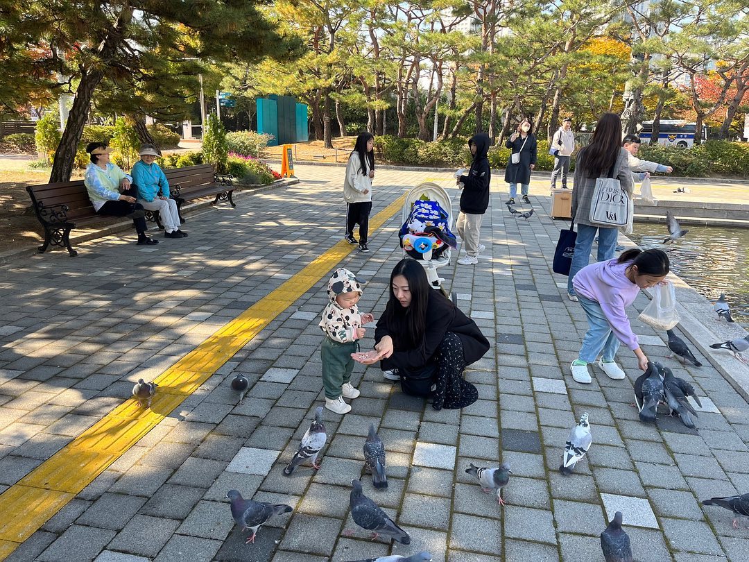 -
비둘기 아줌마랑 노는 아이들