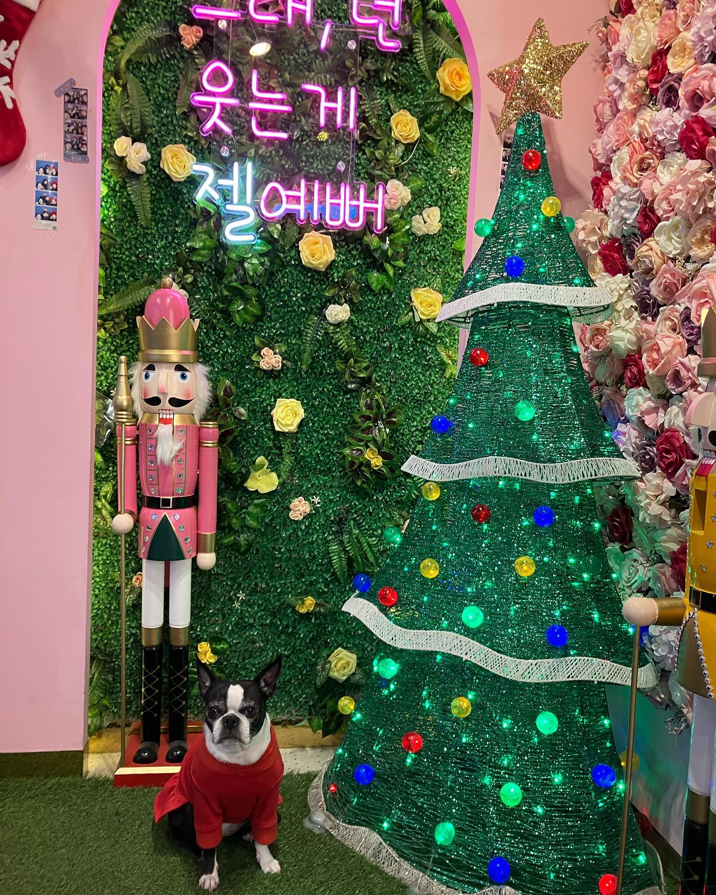 #강아지그램 
처음으로 단둘이 인생네컷 찍었다
뭐든지 처음은 소중해 ❤️