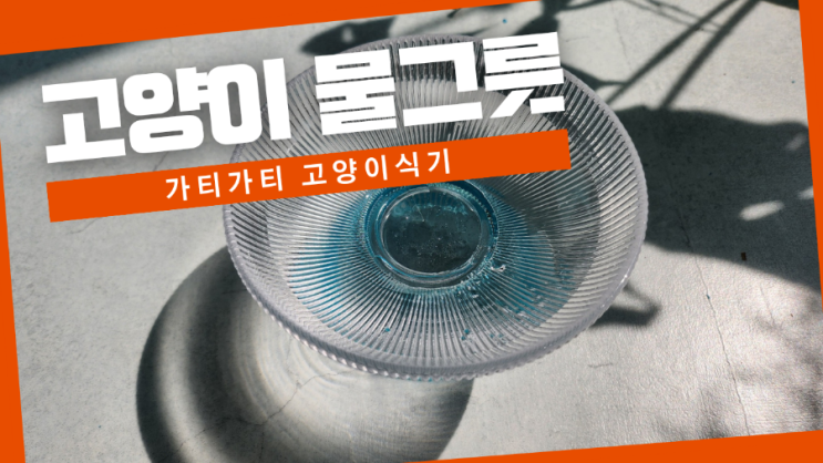 물안먹는 고양이 물먹게하는 고양이식기 가티가티