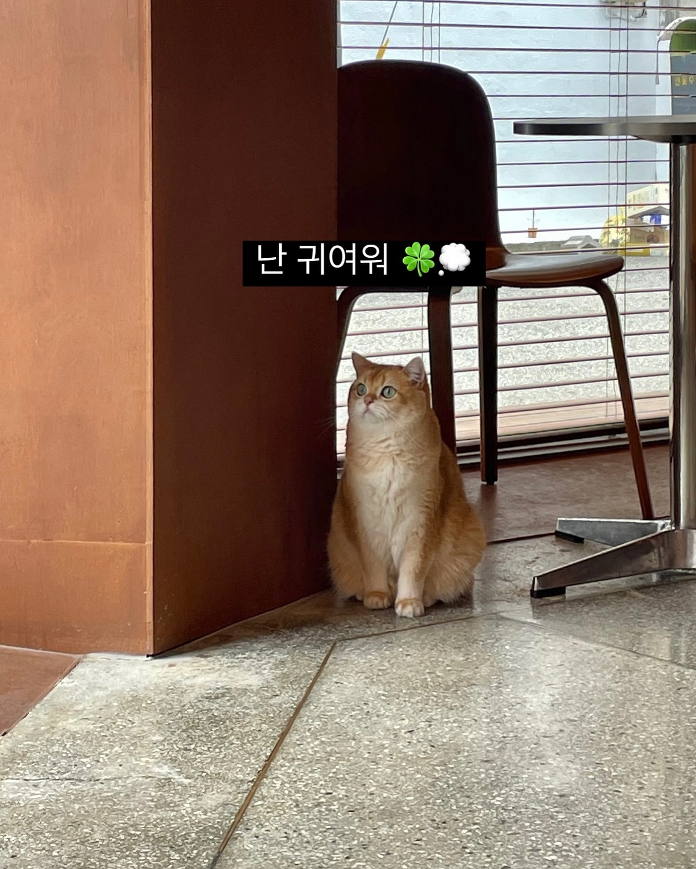 귀여운게 최고야