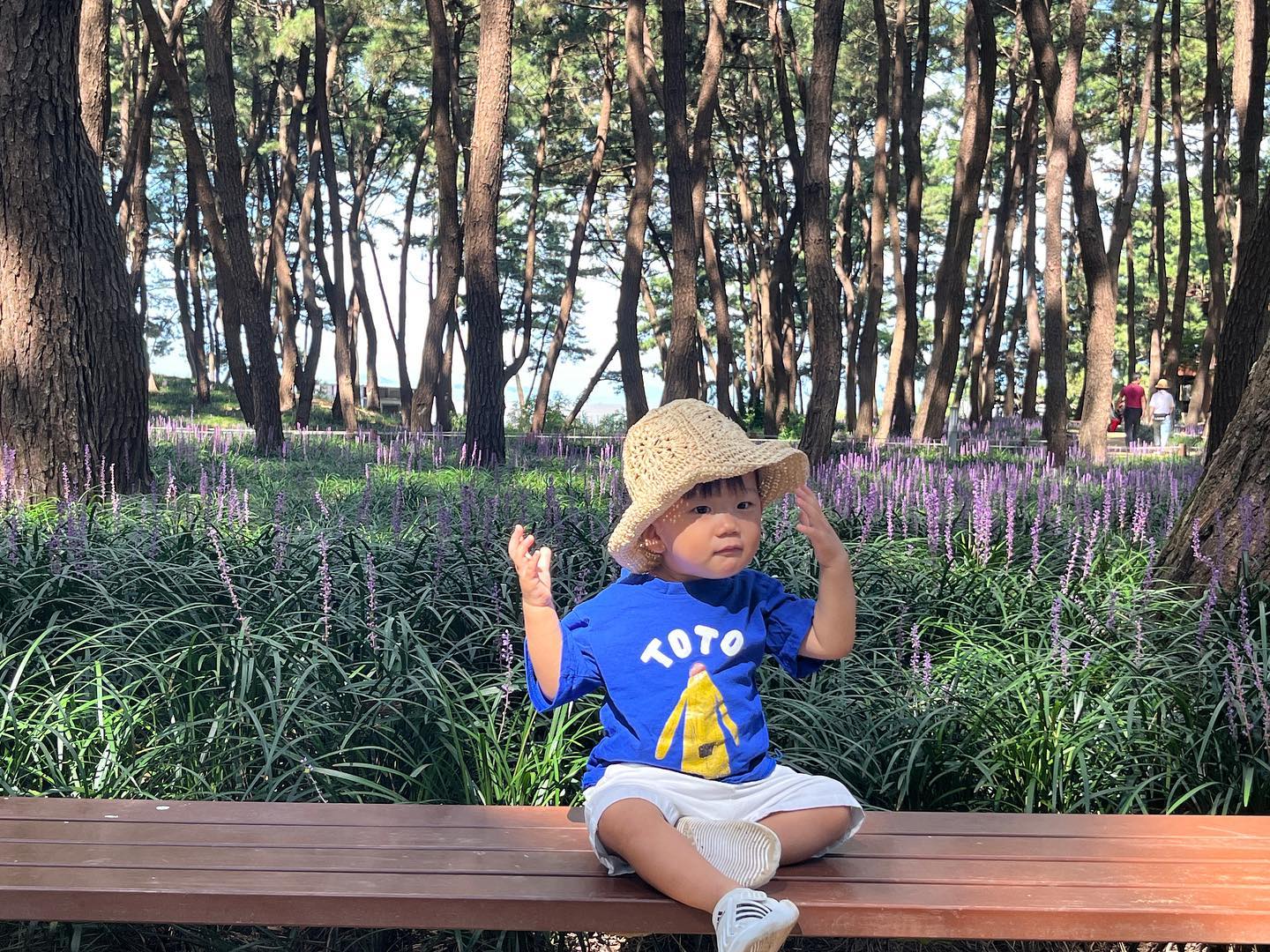 오늘도 아침부터 바쁘게 움직이는중~💛 
축제가 끝났지만 그래도 예뻐 맥문동 꽃말이 기쁨의 연속이라던데 진짜로 너무 예쁘고 탁 트인 시야에 행복했다💟

담주엔 또 어디를 가볼까!

#맥문동숲길 
#장항송림산림욕장 #군산