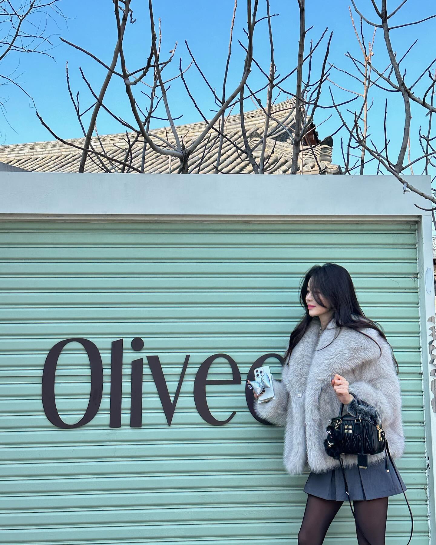 올리브 총총 🧚🏻....🫒