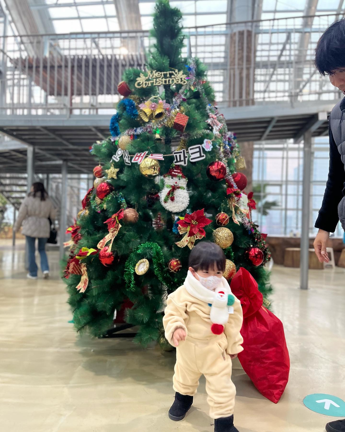 +797day
트리랑 같이 한장 찍기도 매우빡씬 26갤 아가🥹
짹짹이보러 다녀온 오산버드파크

기대없이왔는데 기대이상이다? 개체들 매우다양
담에또오자🎈

#오신버드파크 #버드파크 #오산가볼만한곳 #메리크리스마스
#브이연습중 #브이연습중✌#아이와가볼만한곳 #새