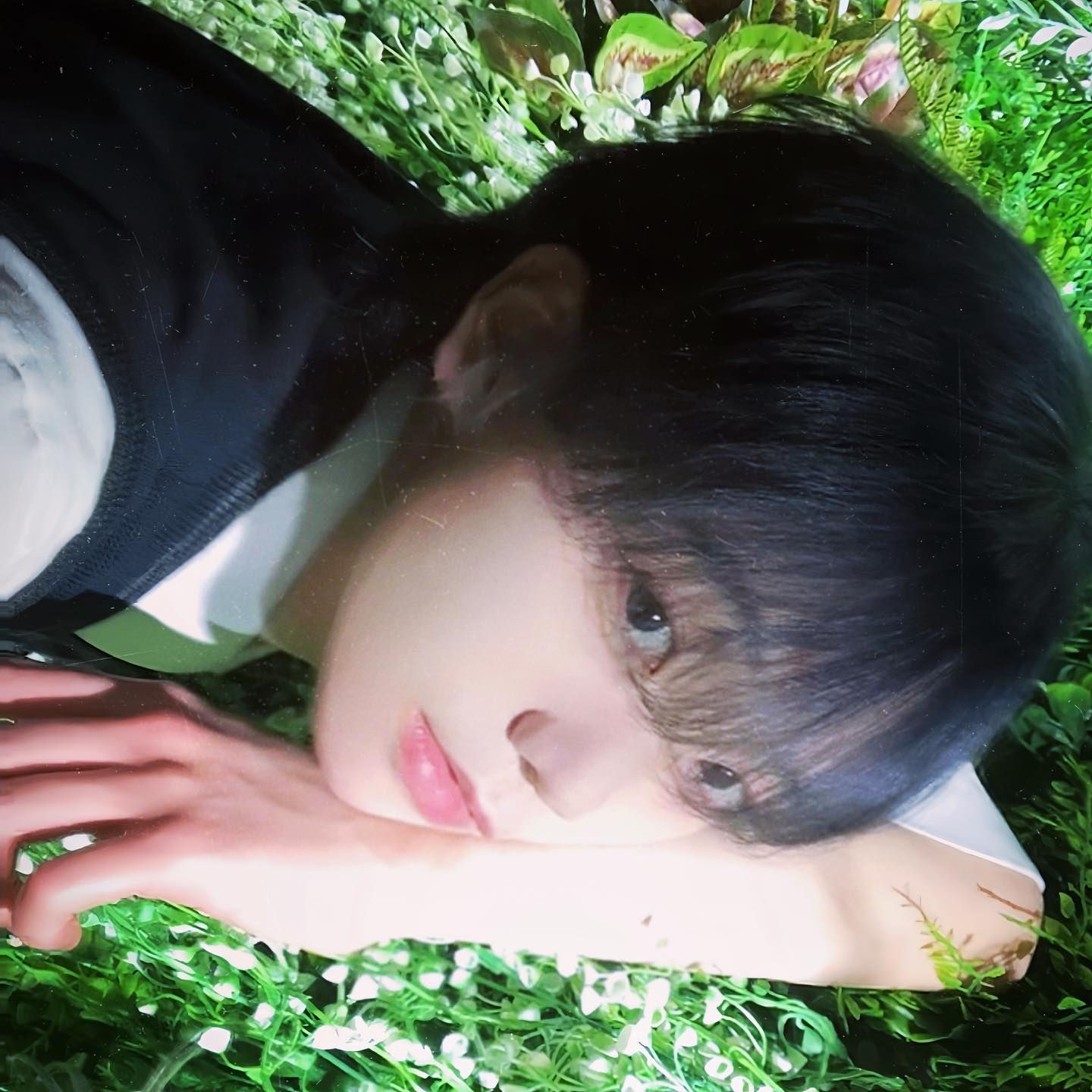 von_seoulforest