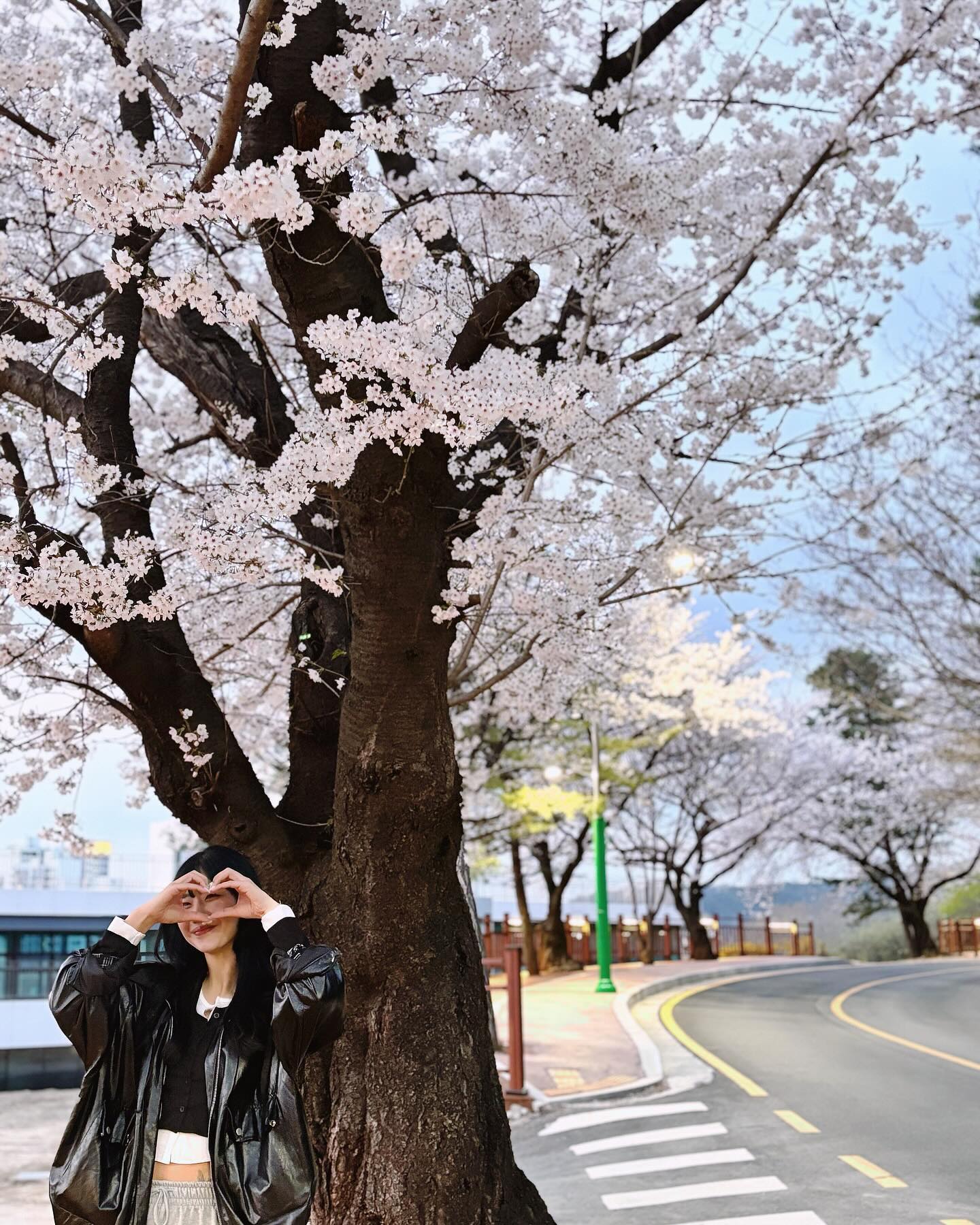 봄이왔음을 알리는듕🌸