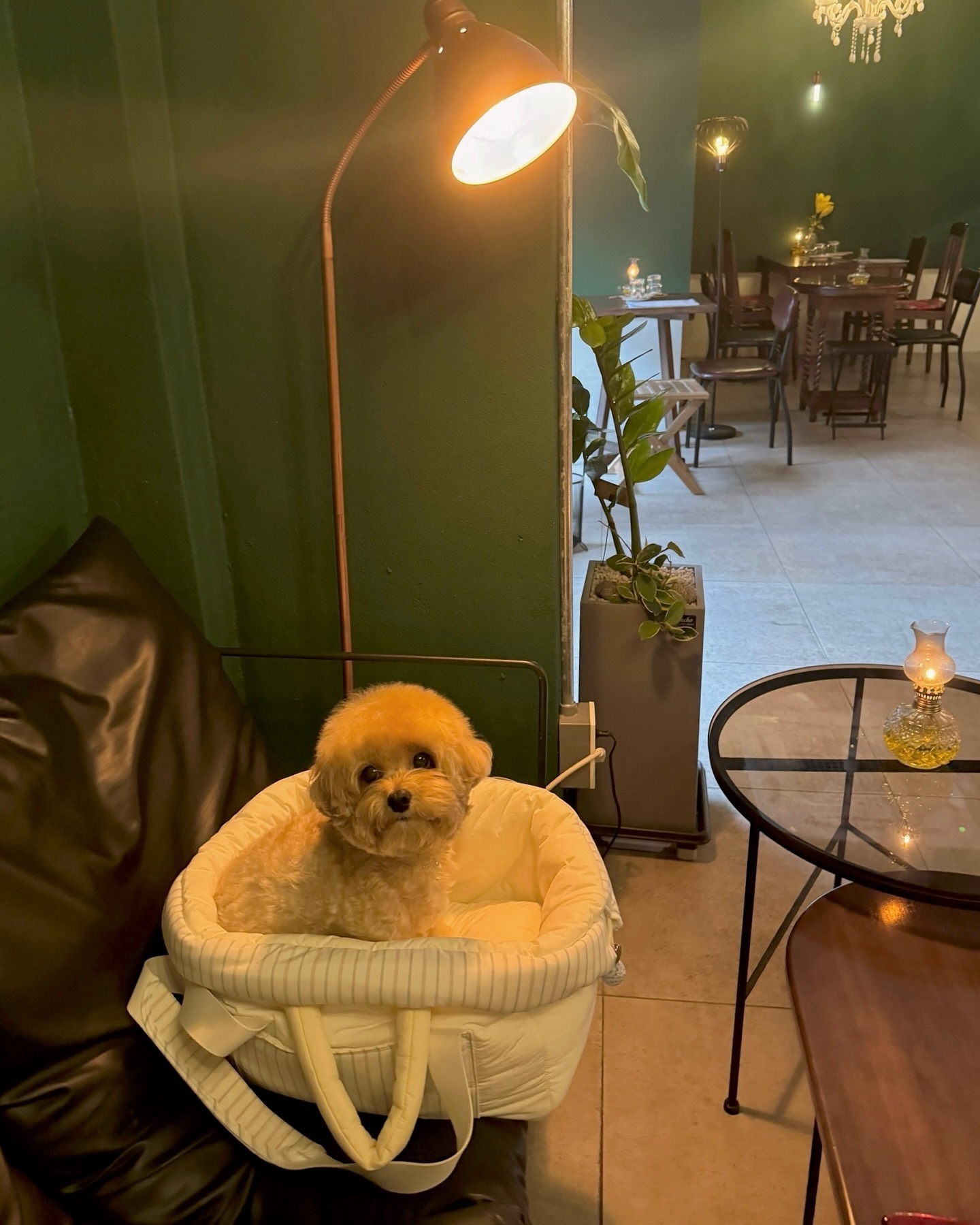 뭐때문에 이렇게 억울한 표정이시죠?