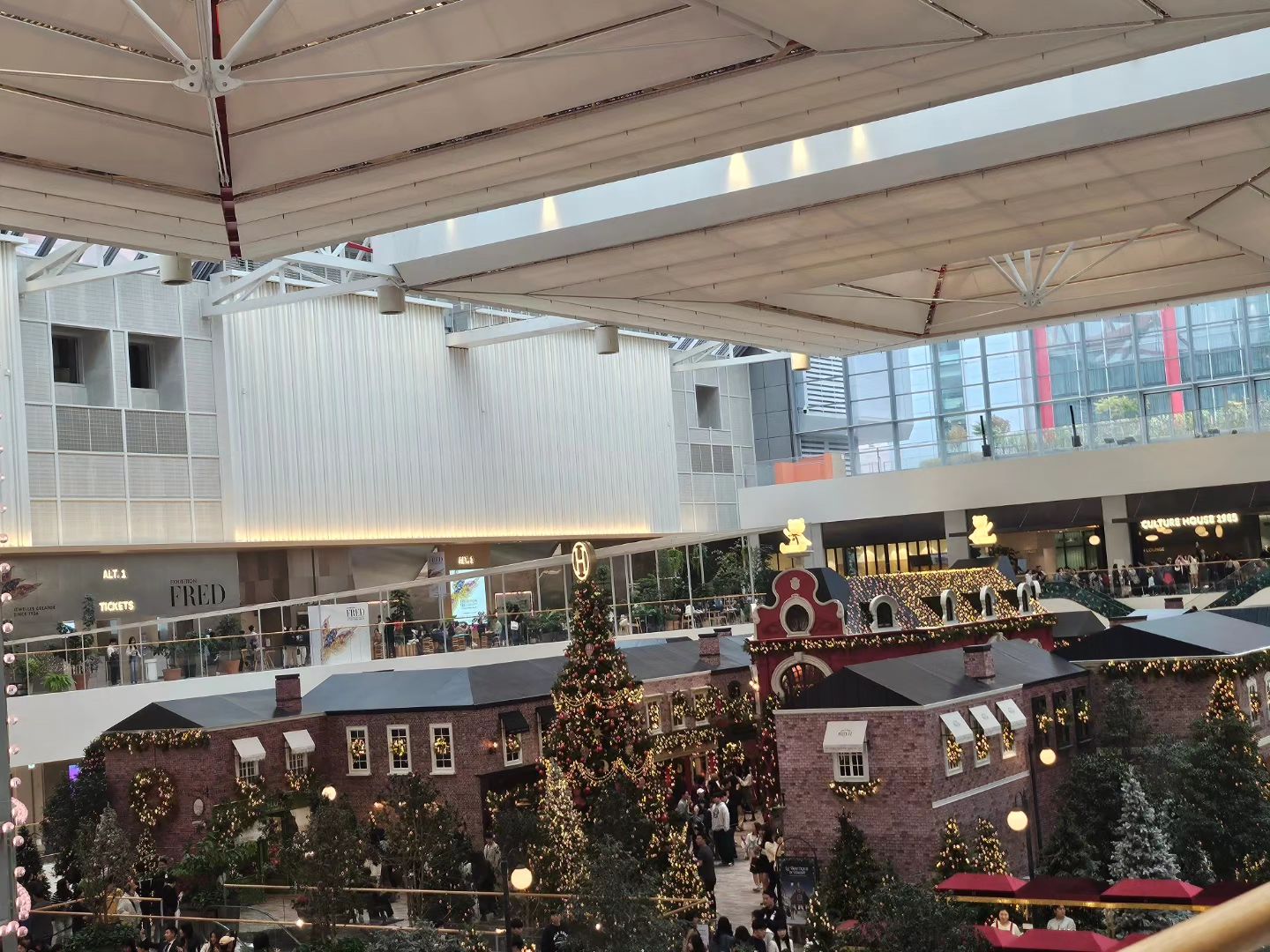 🎄