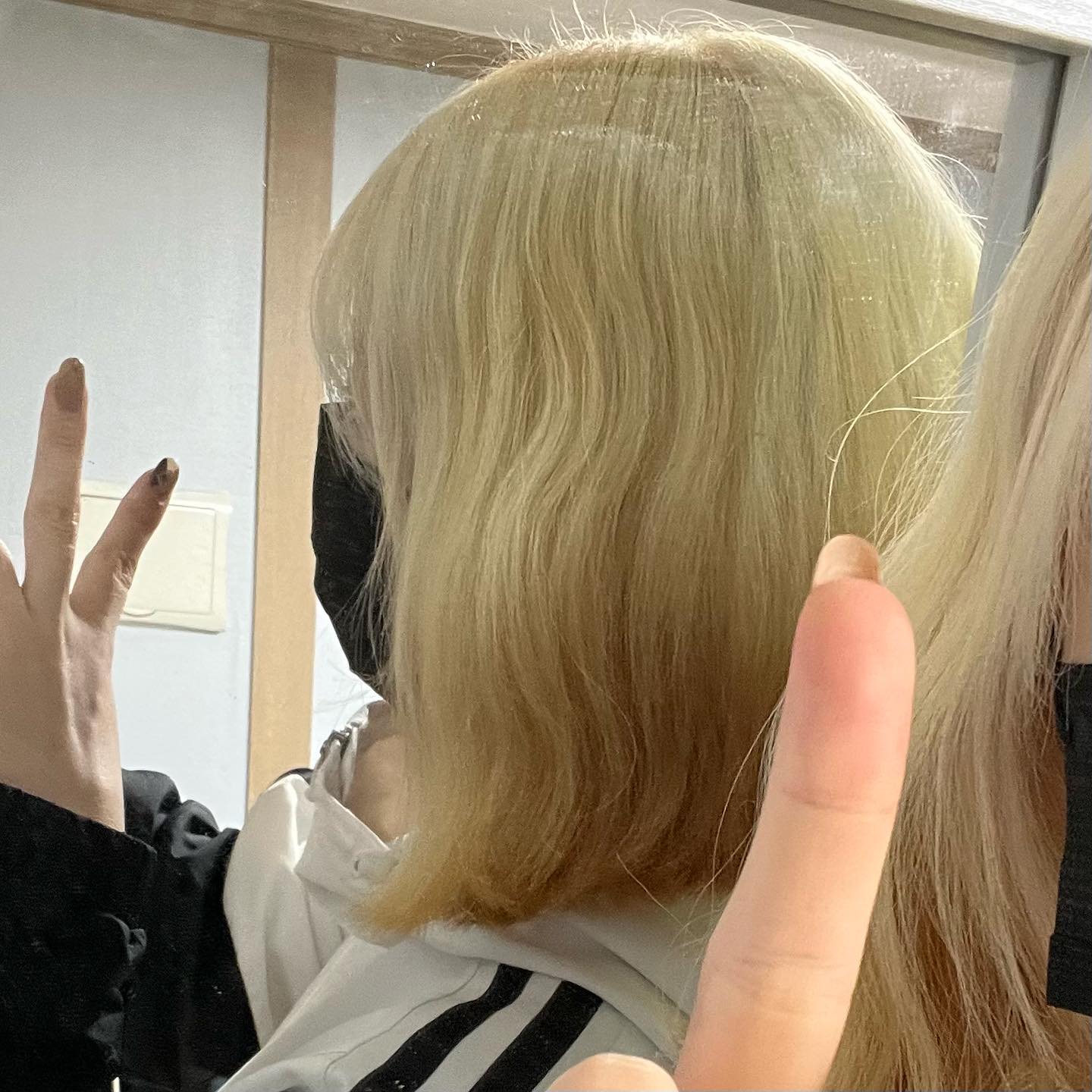 탈색 가영 박제 🌽👸